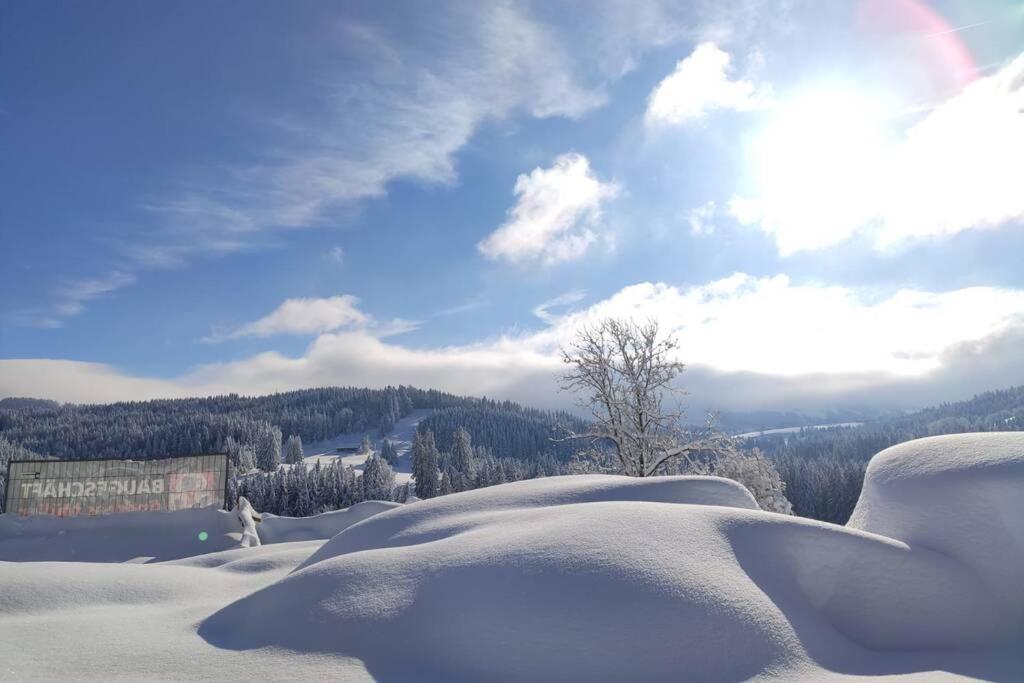 Allgaeu Apartment Rose Im Og Grunenbach Kültér fotó