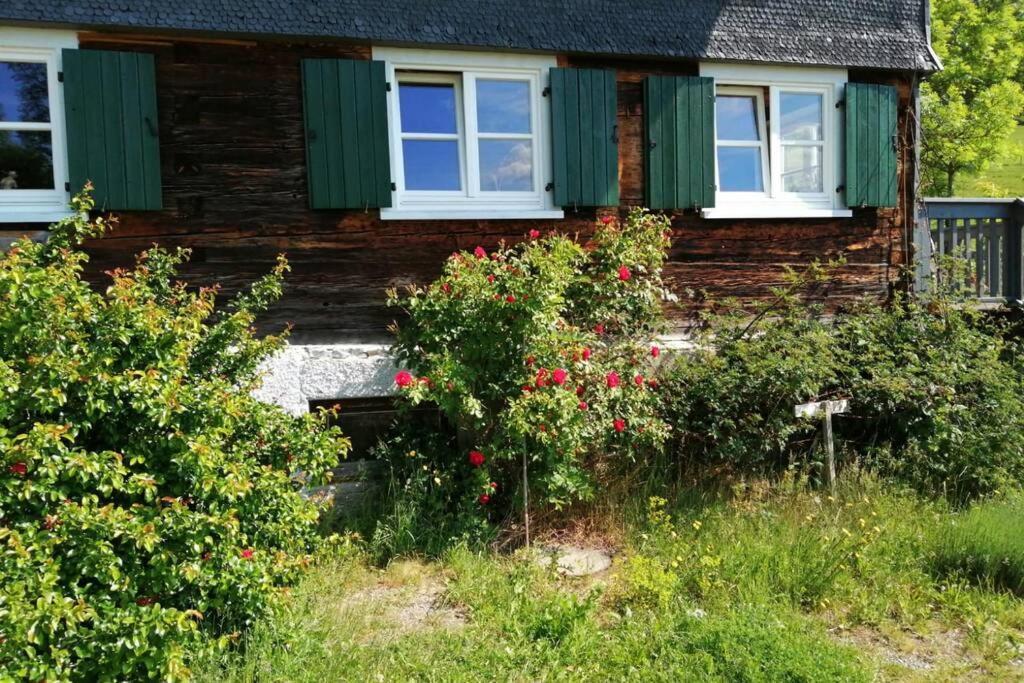 Allgaeu Apartment Rose Im Og Grunenbach Kültér fotó